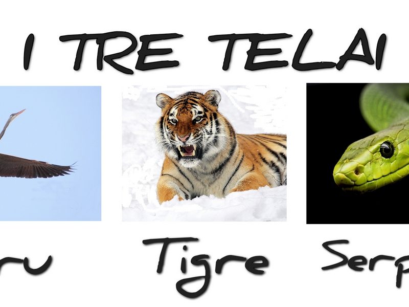 Attitudine Gru, Tigre e Serpente nel Tai Chi