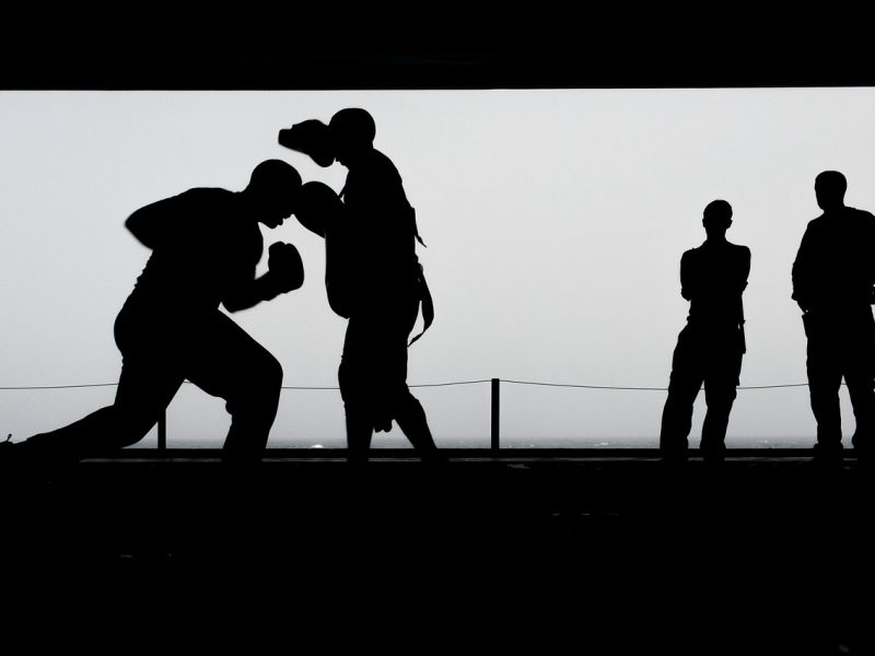 Tai Chi Chuan come arte marziale
