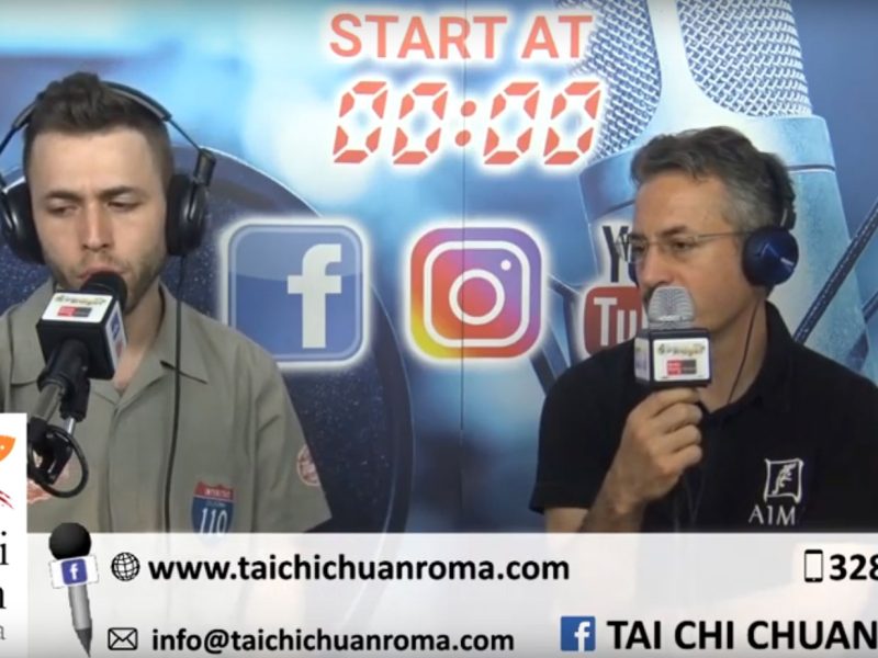 intervista-pietro-papisca